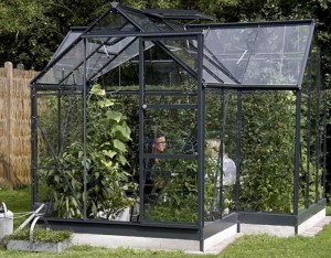 Greenhouse Glass